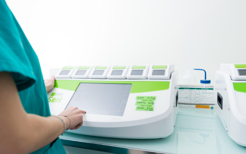 Incubadora de embriones GERI: ¿Cómo se desarrollan los embriones en la incubadora?